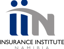 IIN Logo